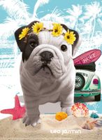 Nathan Teo California - puzzle image