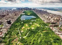 Nathan Vue sur Central Park - obrázek puzzlí