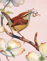 New York Puzzle Company Carolina Wren - puzzle image