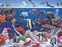 New York Puzzle Company National Geographic: Ocean Life - puzzle image