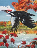 New York Puzzle Company Pileated Woodpecker - puzzle image