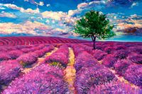 Origami Provence - obrázek puzzlí