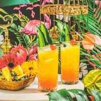 Pezel Jungle Bird - obrázek puzzlí