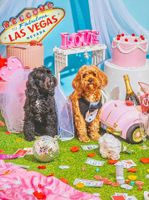 Pezel Puppy Love - puzzle image