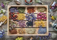 Piatnik Medicinal Herbs - puzzle image