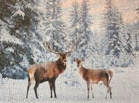 Professor Puzzle Deer in Winter - Puzzlebild