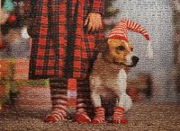 Professor Puzzle Jack Russell - Puzzlebild