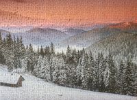 Professor Puzzle Pine Trees - Puzzlebild
