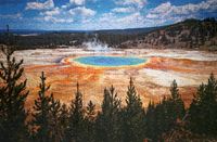 Professor Puzzle USA National Parks 7-in-1: Yellowstone National Park - imagen del puzzle