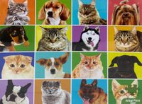Puzzle World Dogs and Cats - puzzle image