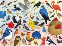 PuzzleTwist Birdie Buddies - obrázek puzzlí