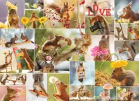 PuzzleTwist Squirrel’s Life - obrázek puzzlí