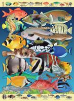 PuzzleTwist Tropical Traffic - puzzle image