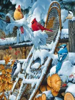 PuzzleTwist Wings of Winter - imagen del puzzle