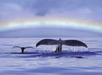 Ravensburger Blue Horizons - puzzle image