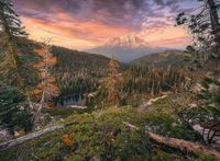 Ravensburger 4 Seasons - Autumn - obrázek puzzlí