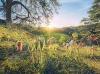 Ravensburger 4 Seasons - Spring - obrázek puzzlí