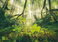 Ravensburger 4 Seasons - Summer - puzzle image