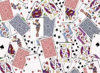 Ravensburger 52 Shuffle - puzzle image