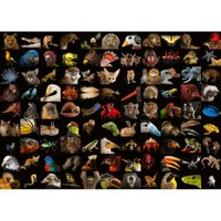 Ravensburger 99 Amazing Animals - puzzle image