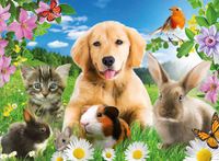 Ravensburger Adorable House Pets - puzzle image