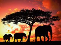 Ravensburger African Silhouette - puzzle image
