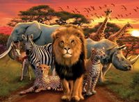 Ravensburger African Splendor - obrázek puzzlí