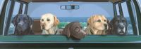 Ravensburger All Labs Matter - puzzle image