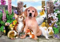 Ravensburger Animal Friends - obrázek puzzlí