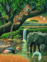 Ravensburger Animals in Africa - puzzle image