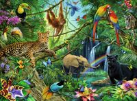 Animals In The Jungle