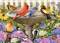 Ravensburger At the Birdbath - puzzle image