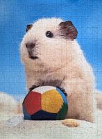Ravensburger Beach Boy - obrázek puzzlí