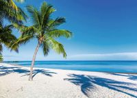 Ravensburger Beach Escape - obrázek puzzlí