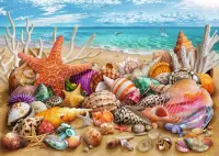 Ravensburger Beach Treasures - puzzle image