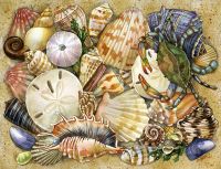 Ravensburger Beautiful Shells - puzzle image