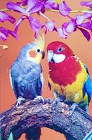Ravensburger Bird Buddies - puzzle image