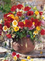 Ravensburger Bouquet of Poppies - obrázek puzzlí