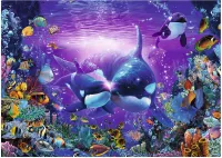 Ravensburger Brilliant Passage - obrázek puzzlí