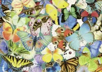 Ravensburger Butterflies - puzzle image