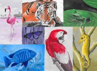 Ravensburger Colorful Animals - obrázek puzzlí