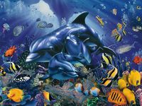Ravensburger Colorful Coral Reef - puzzle image
