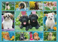 Ravensburger Cute Puppies - obrázek puzzlí