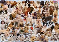 Ravensburger Dogs Galore - puzzle image