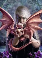 Ravensburger Dragon Girl - obrázek puzzlí