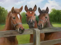 Ravensburger Equine Meeting - puzzle image