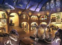 Ravensburger Escape Puzzle: Museum Mysteries - puzzle image