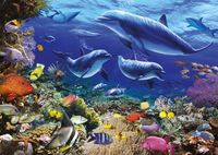 Ravensburger Family of Dolphins - Puzzlebild