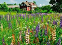 Ravensburger Farm in Sweden - obrázek puzzlí