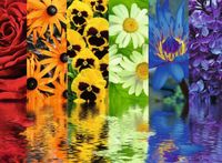 Ravensburger Floral Reflections - obrázek puzzlí
